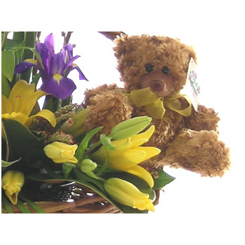 flowers delivery - Flowers Auckland