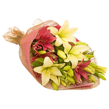 Flowers Auckland Lily Laster is a favourite flowers delivery - Flowers Auckland