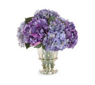 Hydrangeas, old world charm bloom - flowers delivery Auckland wide flowers delivery - Flowers Auckland