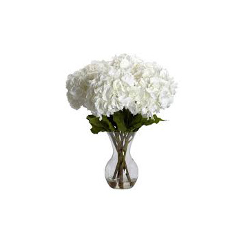 Flowers Auckland, Flowers delivery Flowers Auckland, Flowers delivery flowers delivery - Flowers Auckland