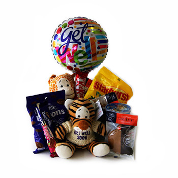 Childrens Get Well Treats will make them smile Childrens Get Well Treats will make them smile flowers delivery - Flowers Auckland