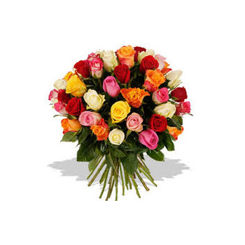 Valentine's Mixed Roses are perfect to send from Flowers Auckland flowers delivery - Flowers Auckland