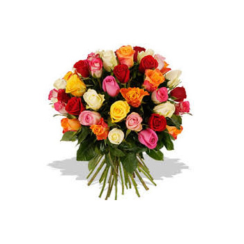 Valentine's Mixed Roses are perfect to send from Flowers Auckland Valentine's Mixed Roses are perfect to send from Flowers Auckland flowers delivery - Flowers Auckland