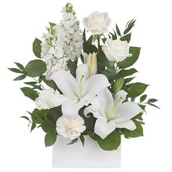 flowers delivery - Flowers Auckland