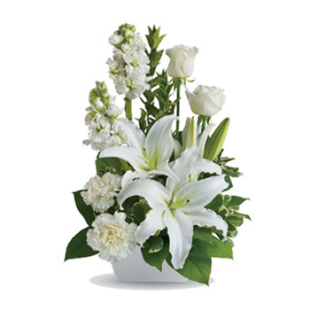 Soft sympathy flowers for delivery New Zealand wide flowers delivery - Flowers Auckland
