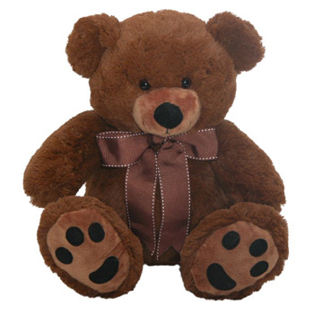 Roly Bear Roly Bear flowers delivery - Flowers Auckland